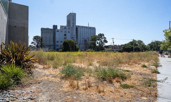 Undeveloped Parcel on Water Street (near La Via)